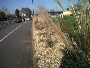 plaquettes foresterie